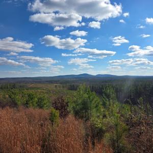 Photo #22 of 4608 Norwood Rd, Gladstone, VA 160.2 acres