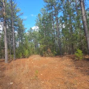 Photo #6 of 4608 Norwood Rd, Gladstone, VA 160.2 acres