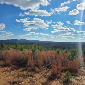 Photo #12 of 5150 Norwood Rd, Gladstone, VA 206.7 acres