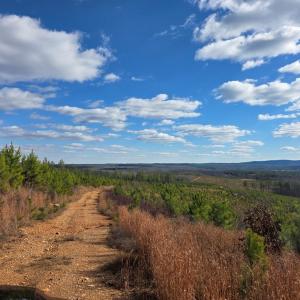 Photo #19 of 5150 Norwood Rd, Gladstone, VA 206.7 acres