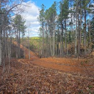 Photo #8 of 5150 Norwood Rd, Gladstone, VA 206.7 acres