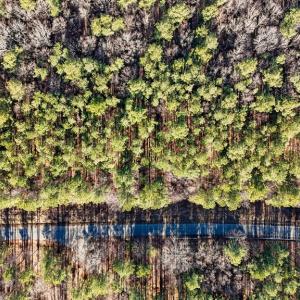 Photo #10 of 00 Namozine Road, Amelia Court House, VA 20.9 acres