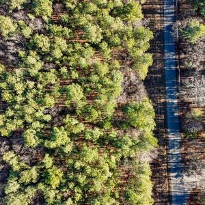 Photo #11 of 00 Namozine Road, Amelia Court House, VA 20.9 acres