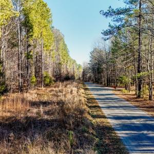 Photo #14 of 00 Namozine Road, Amelia Court House, VA 20.9 acres