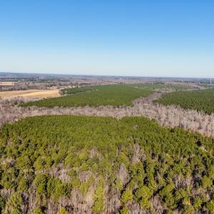 Photo #3 of 00 Namozine Road, Amelia Court House, VA 20.9 acres