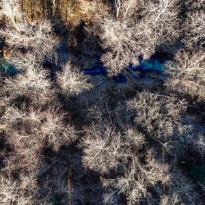 Photo #4 of 00 Namozine Road, Amelia Court House, VA 20.9 acres