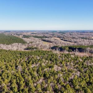Photo #6 of 00 Namozine Road, Amelia Court House, VA 20.9 acres