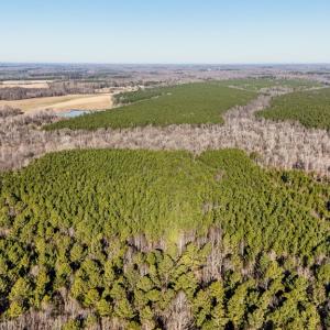 Photo #7 of 00 Namozine Road, Amelia Court House, VA 20.9 acres