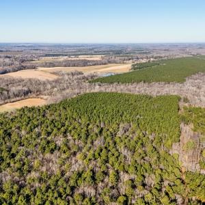 Photo #8 of 00 Namozine Road, Amelia Court House, VA 20.9 acres