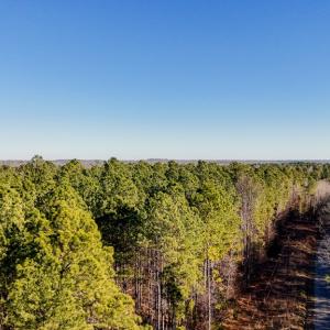 Photo #9 of 00 Namozine Road, Amelia Court House, VA 20.9 acres