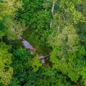 Photo #2 of 626 Holiday Lake Road, Appomattox, VA 20.2 acres