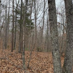 Photo #6 of 626 Holiday Lake Road, Appomattox, VA 20.2 acres