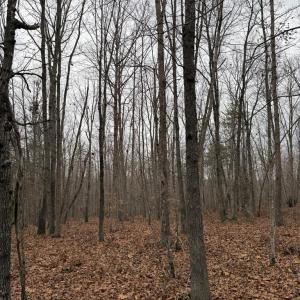 Photo #8 of 626 Holiday Lake Road, Appomattox, VA 20.2 acres