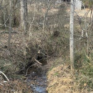 Photo #3 of 626 Holiday Lake Road, Appomattox, VA 20.3 acres