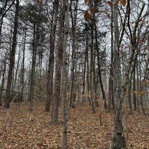 Photo #7 of 626 Holiday Lake Road, Appomattox, VA 20.3 acres