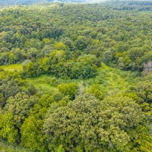 Photo #2 of 626 Holiday Lake Road, Appomattox, VA 25.0 acres