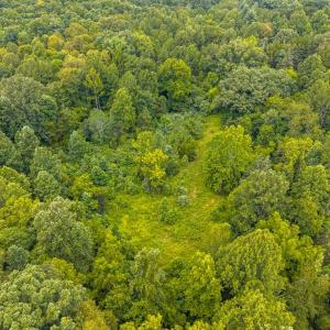 Photo #5 of 626 Holiday Lake Road, Appomattox, VA 25.0 acres