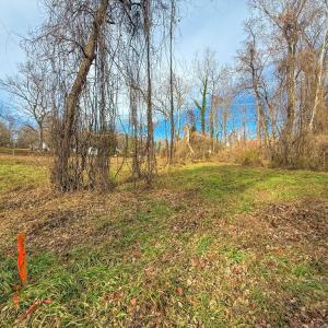 Photo #4 of Dimmick Street, Burkeville, VA 0.6 acres