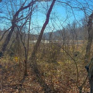 Photo #3 of Crystal Lake Road, Crewe, VA 15.1 acres