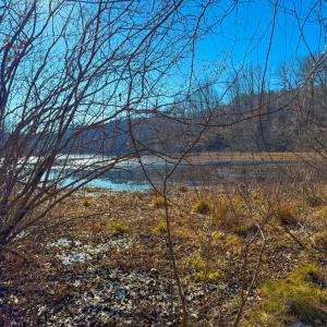 Photo #4 of Crystal Lake Road, Crewe, VA 15.1 acres