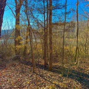 Photo #5 of Crystal Lake Road, Crewe, VA 15.1 acres