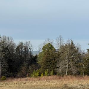 Photo #12 of Watt Abbitt Road, Appomattox, VA 42.7 acres