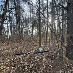 Photo #4 of Watt Abbitt Road, Appomattox, VA 42.7 acres