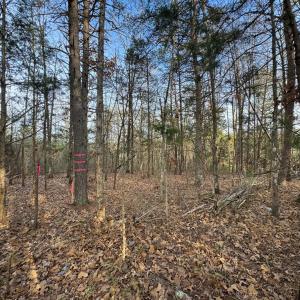 Photo #12 of Watt Abbitt Road, Appomattox, VA 42.7 acres