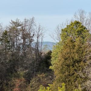 Photo #3 of Watt Abbitt Road, Appomattox, VA 42.7 acres