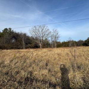 Photo #9 of Watt Abbitt Road, Appomattox, VA 42.7 acres