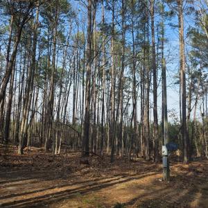 Photo #2 of 3878 Chappell Road, Keysville, VA 3.4 acres