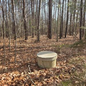 Photo #3 of 3878 Chappell Road, Keysville, VA 3.4 acres