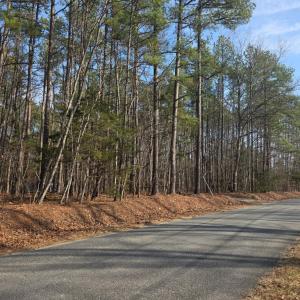 Photo #4 of 3878 Chappell Road, Keysville, VA 3.4 acres