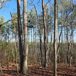 Photo #6 of 3878 Chappell Road, Keysville, VA 3.4 acres