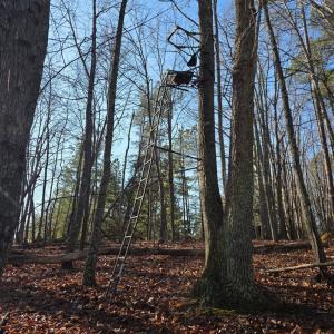 Photo #8 of 3878 Chappell Road, Keysville, VA 3.4 acres