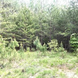 Photo #6 of 60 W. James Anderson Hwy, Buckingham, VA 35.3 acres