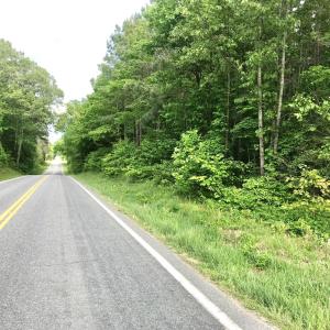 Photo #8 of 60 W. James Anderson Hwy, Buckingham, VA 35.3 acres