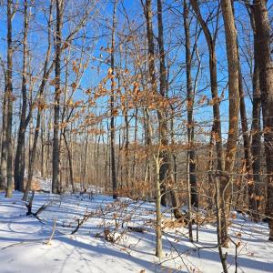 Photo #4 of Country Club Road, Appomattox, VA 10.1 acres