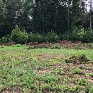 Photo #2 of ESMONT RD, ESMONT, VA 151.4 acres