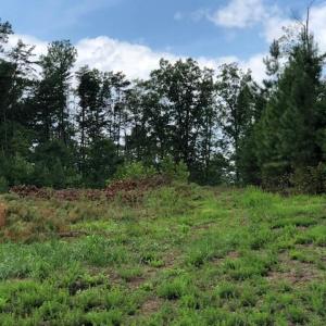 Photo #3 of ESMONT RD, ESMONT, VA 151.4 acres