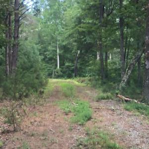 Photo #6 of ESMONT RD, ESMONT, VA 151.4 acres