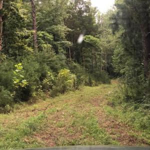 Photo #1 of ESMONT RD, ESMONT, VA 151.4 acres