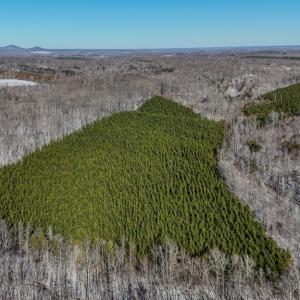 Photo #20 of 5339 Deer Run Road, Farmville, VA 45.2 acres