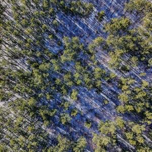 Photo #10 of 5343 Deer Run Road, Farmville, VA 45.2 acres