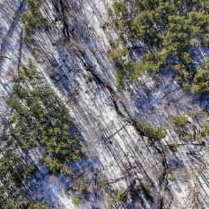 Photo #12 of 5343 Deer Run Road, Farmville, VA 45.2 acres