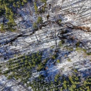 Photo #14 of 5343 Deer Run Road, Farmville, VA 45.2 acres