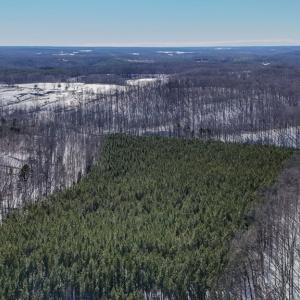 Photo #15 of 5343 Deer Run Road, Farmville, VA 45.2 acres