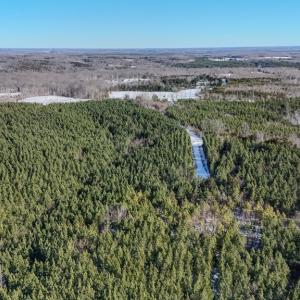 Photo #16 of 5343 Deer Run Road, Farmville, VA 45.2 acres