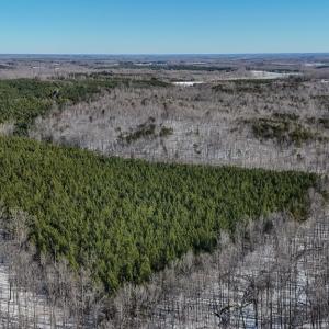 Photo #18 of 5343 Deer Run Road, Farmville, VA 45.2 acres