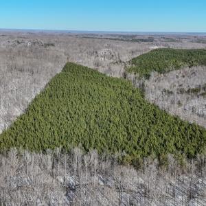 Photo #19 of 5343 Deer Run Road, Farmville, VA 45.2 acres